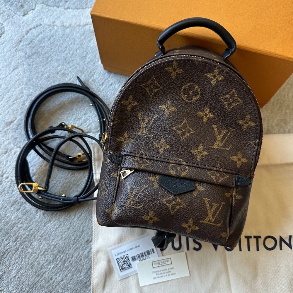 Louis Vuitton Palm Springs Mini Monogram